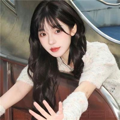 探案新窍门 第四季