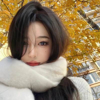 智叻狗仔队